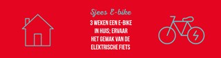 Sjees E-bike